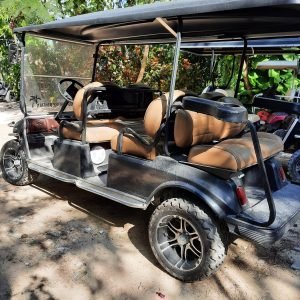 6 Seater Luxury Golf Cart