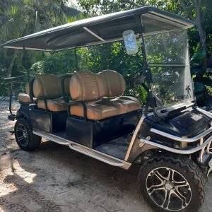 6 Seater Luxury Golf Cart